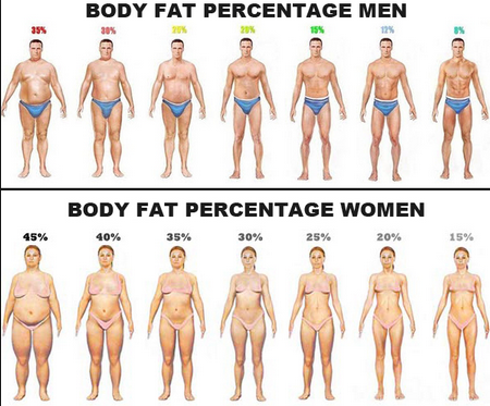 Body Fat Index For Women 41